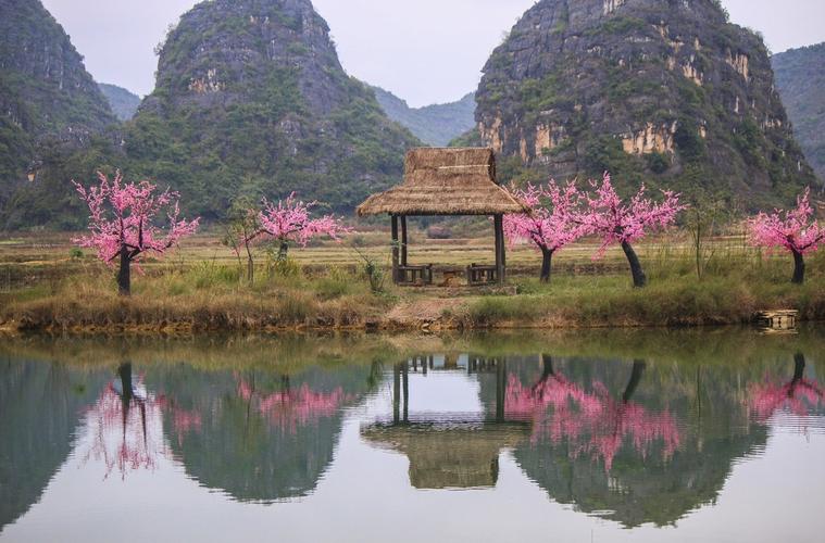 今日科普一下！三生三世十里桃花,百科词条爱好_2024最新更新