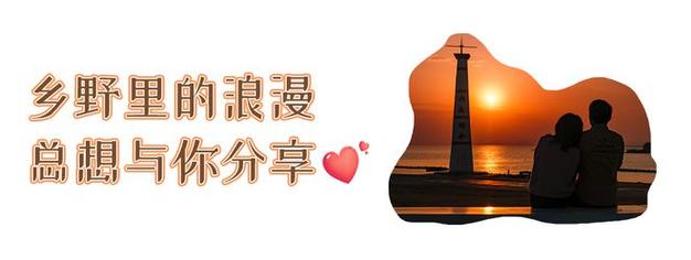 今日科普一下！莫斯科保卫战双方伤亡人数,百科词条爱好_2024最新更新